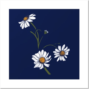 Daisies Posters and Art